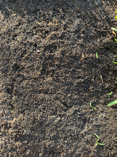 Back - Soil